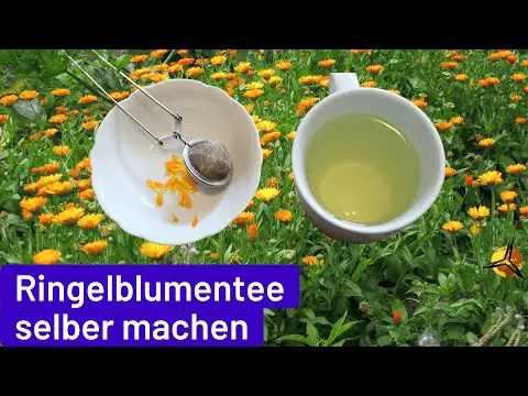 Ringelblumentee selber machen