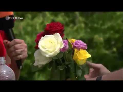 ZDF-Fernsehgarten: 🌹Rosen über Stecklinge vermehren und Zugabe von Weidenwasser zur Wurzelbildung