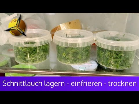 Schnittlauch lagern - einfrieren - trocknen