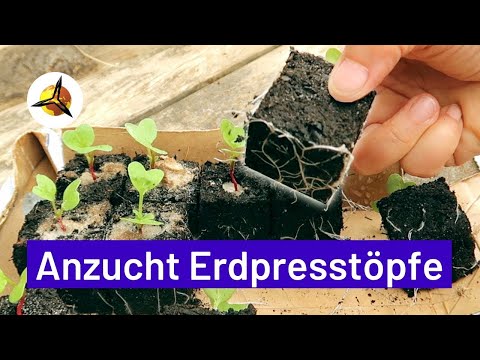 Erdpresstöpfe: Anzuchttöpfe selber machen