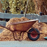 Anleitung zum Mulchen im Garten