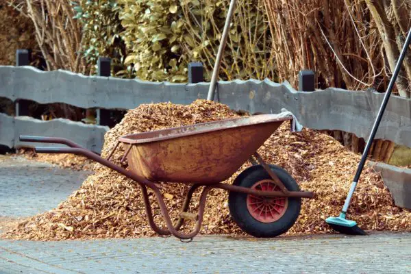 Anleitung zum Mulchen im Garten