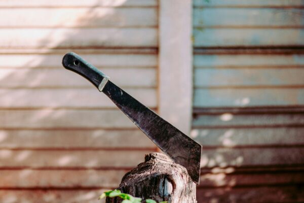 Machete - Gartenwerkzeug fürs Grobe
